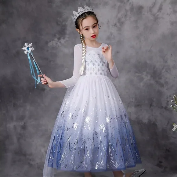 Luxury Frozen Elsa Sparkly Costume Dress 5018 - Picture 1 of 8